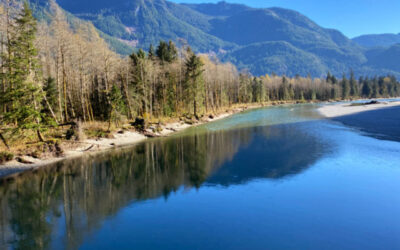 New conservation area being created in Pitt River Valley